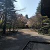 【閑話休題】平林寺に行ってきました【のんびり散歩】